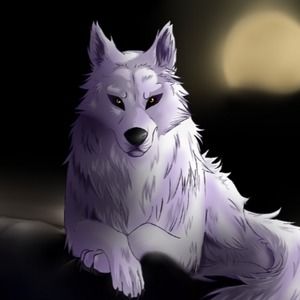 Meet your Posher, Abigail